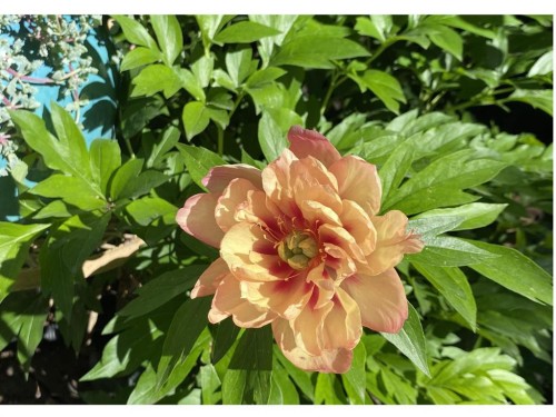 31 Sunset Crescent, Okotoks, AB - Outdoor