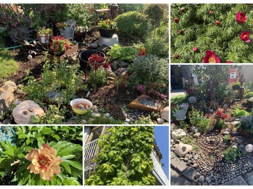 31 Sunset Crescent, Okotoks, AB - Outdoor