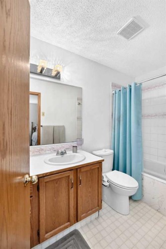 11444 Coventry Boulevard Ne, Calgary, AB - Indoor Photo Showing Bathroom