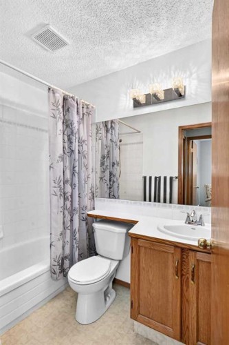 11444 Coventry Boulevard Ne, Calgary, AB - Indoor Photo Showing Bathroom