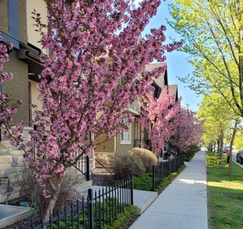 2964 Peacekeepers Way Sw, Calgary, AB - Outdoor