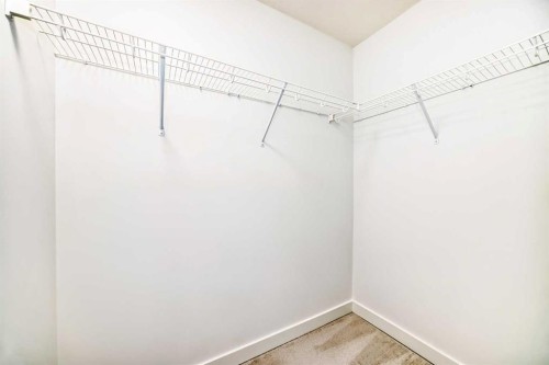 693 Savanna Boulevard Ne, Calgary, AB - Indoor With Storage