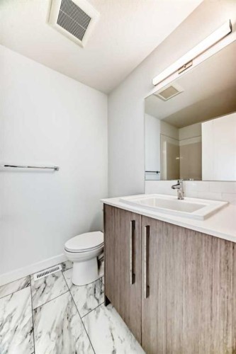 693 Savanna Boulevard Ne, Calgary, AB - Indoor Photo Showing Bathroom