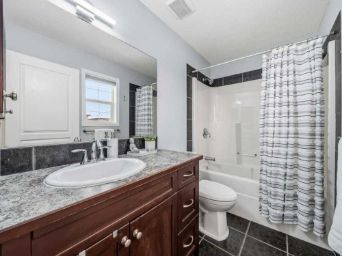 115 Canals Circle Sw, Airdrie, AB - Indoor Photo Showing Bathroom