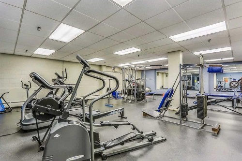 808-340 14 Avenue Sw, Calgary, AB - Indoor Photo Showing Gym Room