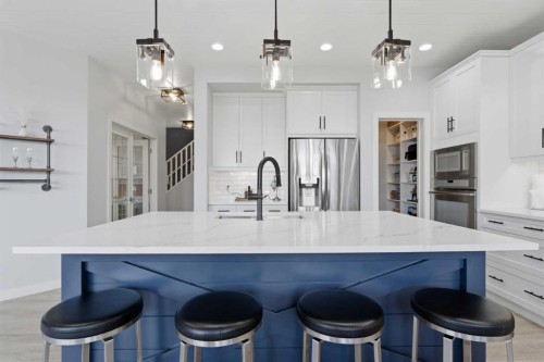 55 Marquis Green Se, Calgary, AB - Indoor Photo Showing Kitchen With Upgraded Kitchen