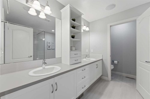 55 Marquis Green Se, Calgary, AB - Indoor Photo Showing Bathroom