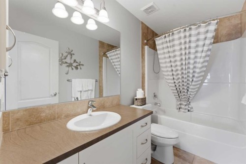55 Marquis Green Se, Calgary, AB - Indoor Photo Showing Bathroom