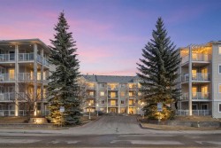 317-260 Shawville Way SE Calgary, AB T2Y 3Z6