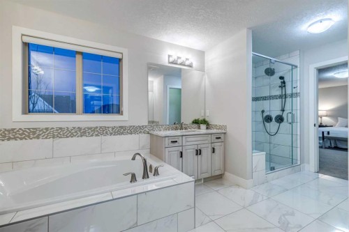 61 Masters Landing Se, Calgary, AB - Indoor Photo Showing Bathroom