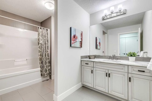 61 Masters Landing Se, Calgary, AB - Indoor Photo Showing Bathroom