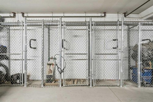 3203-99 Copperstone Park Se, Calgary, AB - Indoor Photo Showing Garage