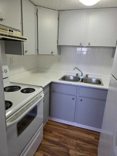 4503 73 Street Nw, Calgary, AB - Indoor Photo Showing Kitchen With Double Sink