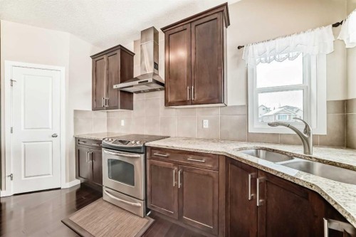 12 Kincora Mews Nw, Calgary, AB - Indoor Photo Showing Kitchen With Double Sink With Upgraded Kitchen