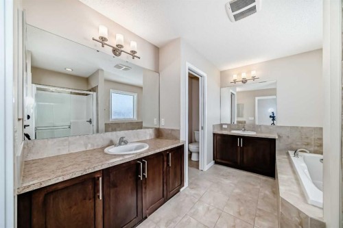 12 Kincora Mews Nw, Calgary, AB - Indoor Photo Showing Bathroom