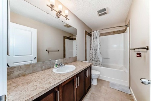 12 Kincora Mews Nw, Calgary, AB - Indoor Photo Showing Bathroom