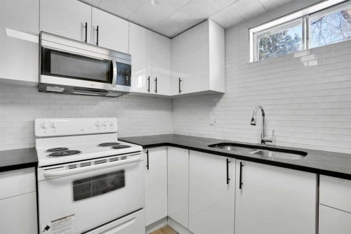 363 Templeside Circle Ne, Calgary, AB - Indoor Photo Showing Kitchen With Double Sink