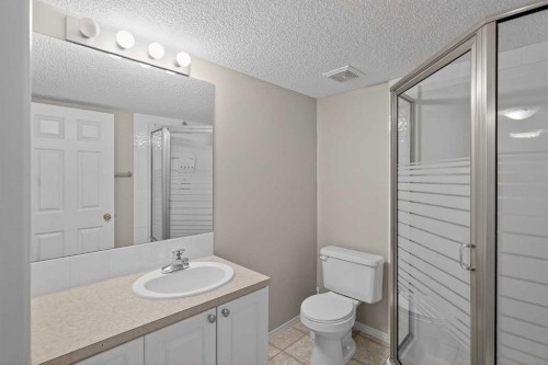 223 Citadel Meadow Close Nw, Calgary, AB - Indoor Photo Showing Bathroom