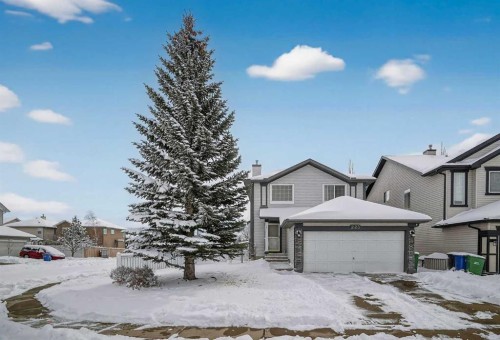 223 Citadel Meadow Close Nw, Calgary, AB - Outdoor With Facade