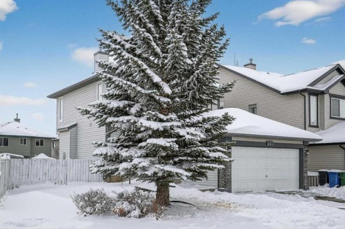 223 Citadel Meadow Close Nw, Calgary, AB - Outdoor