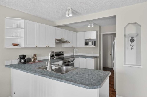 223 Citadel Meadow Close Nw, Calgary, AB - Indoor Photo Showing Kitchen With Double Sink With Upgraded Kitchen