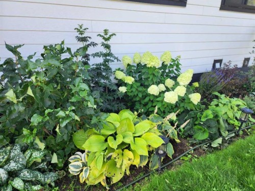 9215 Allison Drive Se, Calgary, AB - Outdoor