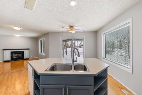 9 Mckenzie Place Se, Calgary, AB - Indoor Photo Showing Kitchen With Fireplace With Double Sink