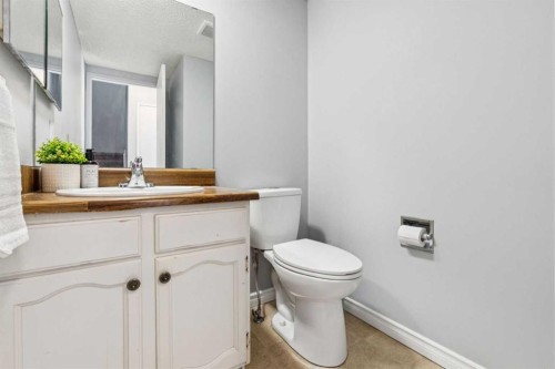 6503 Rundlehorn Drive Ne, Calgary, AB - Indoor Photo Showing Bathroom