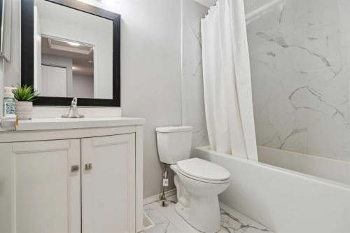 6503 Rundlehorn Drive Ne, Calgary, AB - Indoor Photo Showing Bathroom