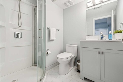 6503 Rundlehorn Drive Ne, Calgary, AB - Indoor Photo Showing Bathroom