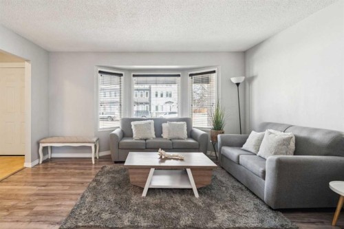 6503 Rundlehorn Drive Ne, Calgary, AB - Indoor Photo Showing Living Room