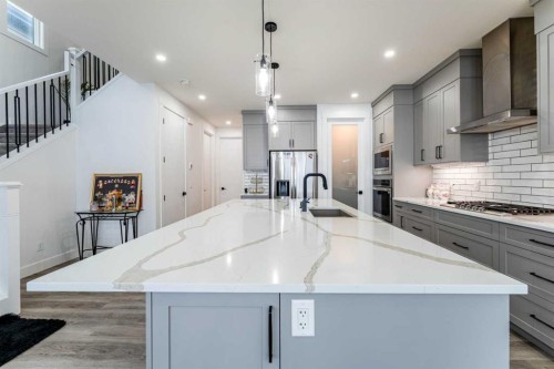1383 Cornerstone Street Ne, Calgary, AB - Indoor Photo Showing Kitchen With Upgraded Kitchen
