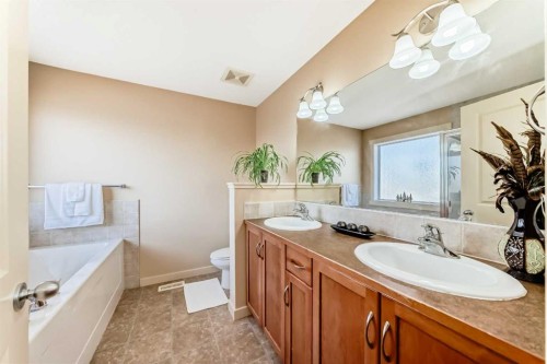 273 Silverado Plains Close Sw, Calgary, AB - Indoor Photo Showing Bathroom