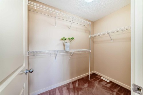 273 Silverado Plains Close Sw, Calgary, AB - Indoor With Storage