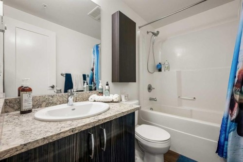 1206-450 8 Avenue Se, Calgary, AB - Indoor Photo Showing Bathroom