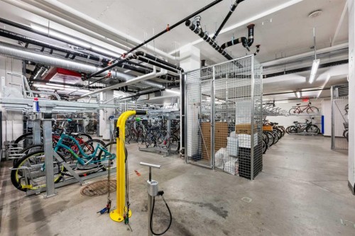 1206-450 8 Avenue Se, Calgary, AB - Indoor With Storage