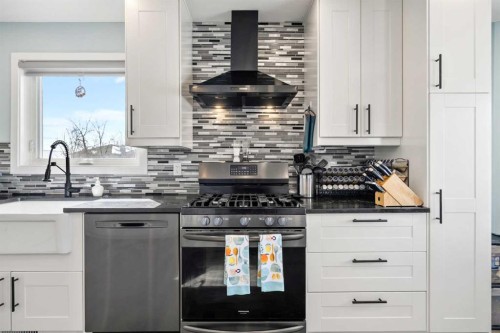 276 Riverside Mews Se, Calgary, AB - Indoor Photo Showing Kitchen With Upgraded Kitchen