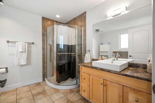 276 Riverside Mews Se, Calgary, AB - Indoor Photo Showing Bathroom
