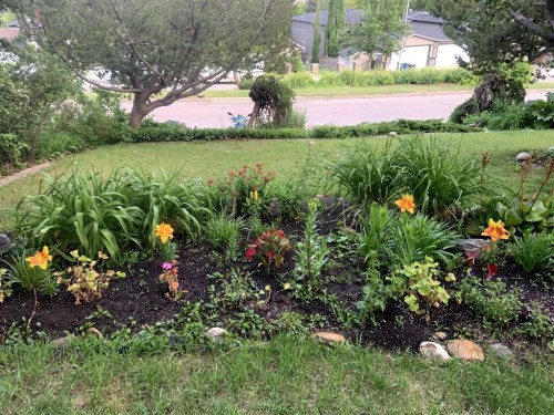 824 Bridge Crescent Ne, Calgary, AB - Outdoor