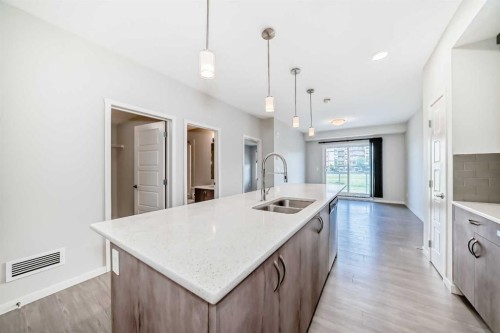 212-20 Seton Park Se, Calgary, AB - Indoor Photo Showing Kitchen With Double Sink With Upgraded Kitchen