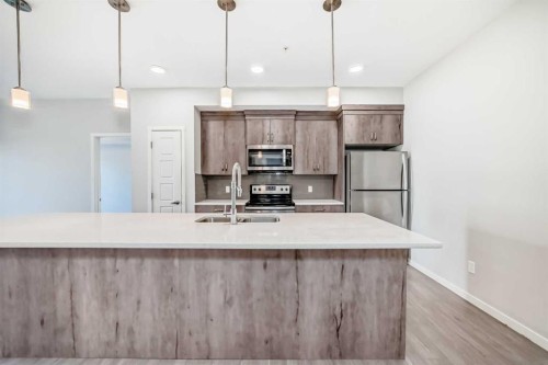 212-20 Seton Park Se, Calgary, AB - Indoor Photo Showing Kitchen With Double Sink With Upgraded Kitchen