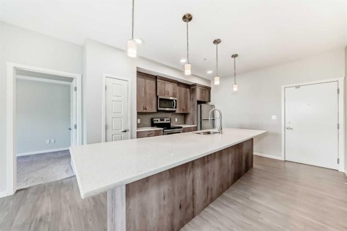 212-20 Seton Park Se, Calgary, AB - Indoor Photo Showing Kitchen With Upgraded Kitchen