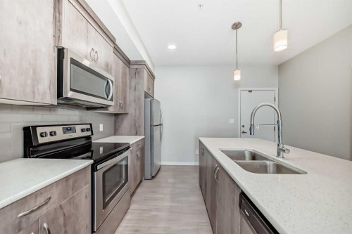 212-20 Seton Park Se, Calgary, AB - Indoor Photo Showing Kitchen With Double Sink With Upgraded Kitchen
