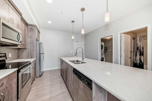 212-20 Seton Park Se, Calgary, AB - Indoor Photo Showing Kitchen With Double Sink With Upgraded Kitchen