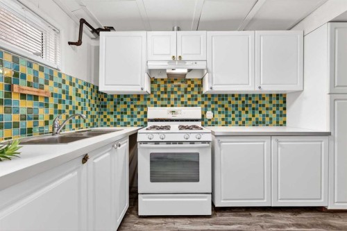 1323 University Drive Nw, Calgary, AB - Indoor Photo Showing Kitchen With Double Sink