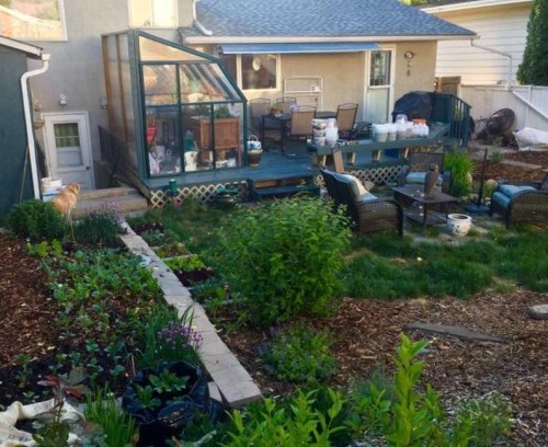 1323 University Drive Nw, Calgary, AB - Outdoor With Deck Patio Veranda