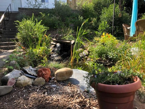 1323 University Drive Nw, Calgary, AB - Outdoor