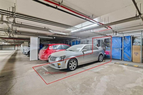 1102-755 Copperpond Boulevard Se, Calgary, AB - Indoor Photo Showing Garage