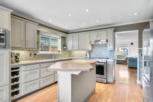 104 Midland Crescent Se, Calgary, AB - Indoor Photo Showing Kitchen With Stainless Steel Kitchen With Upgraded Kitchen