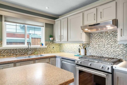 104 Midland Crescent Se, Calgary, AB - Indoor Photo Showing Kitchen With Stainless Steel Kitchen With Double Sink With Upgraded Kitchen